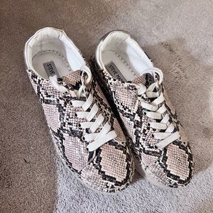 Steve Madden Platform Snakeskin Sneakers